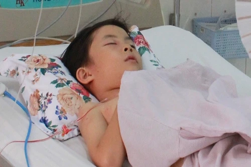 Chọc tổ ong, 2 học sinh bị đốt ngất xỉu