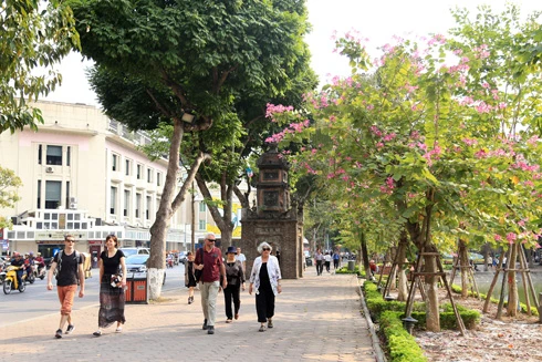 Để người nước ngoài hết "sợ" giao thông Hà Nội