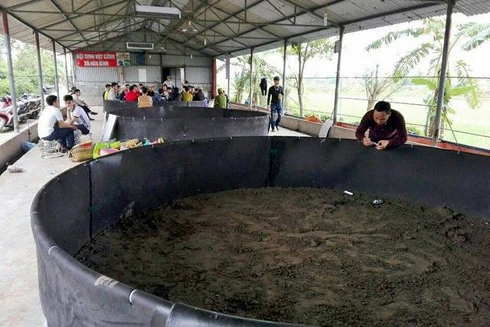 Hải Phòng phá sới bạc lớn, bắt giữ 20 đối tượng 