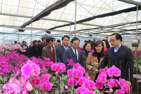 Hà Nội sẵn sàng hỗ trợ đầu tư, tiêu thụ nông sản Sơn La