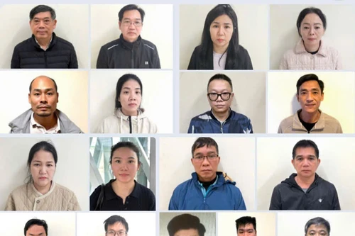 Khởi tố 17 đối tượng liên quan việc kinh doanh xuất khẩu sầu riêng ra nước ngoài 