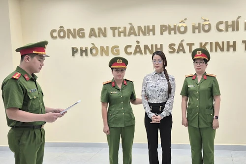 Diễn viên Trương Ngọc Ánh bị bắt 