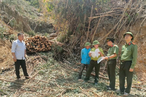 Xử lý nghiêm hành vi xâm hại rừng tự nhiên trên địa bàn tỉnh Bắc Giang