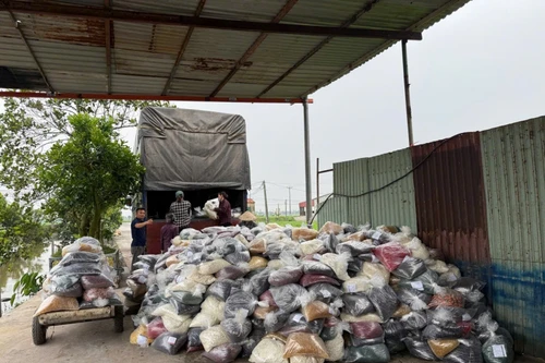 Thu giữ 115 mẫu sản phẩm bảo vệ sức khoẻ do Công ty Herbitech sản xuất có dấu hiệu hàng giả