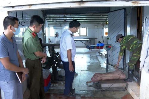 Cặp vợ chồng chủ trang trại lợn bị khởi tố