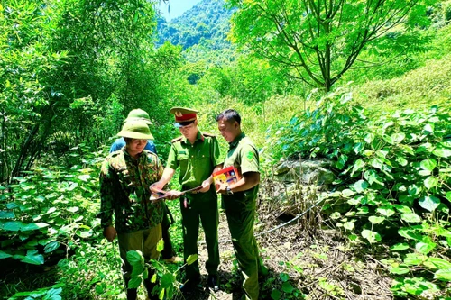 Công an Hà Nội đảm bảo an toàn phòng cháy rừng phòng hộ đặc dụng