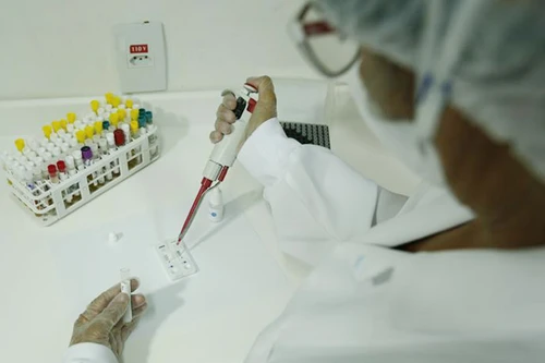 Phát hiện virus Zika trong 20 phút