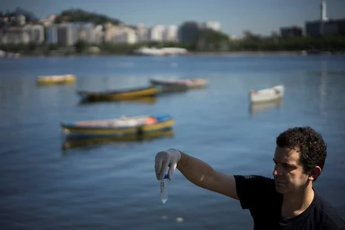 Nước trong bể bơi Olympic 2016 tại Braxin bẩn ngang nước cống