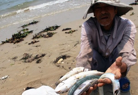 7 nhóm đối tượng được bồi thường do sự cố môi trường Formosa