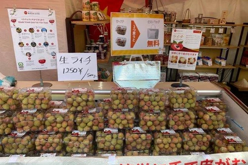 Vải thiều tươi Việt Nam bán giá hơn 400.000 đồng/kg tại Nhật Bản