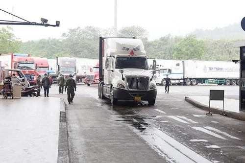 Trung Quốc thí điểm nhập khẩu thanh long, vải thiều, xoài qua cửa khẩu Kim Thành II