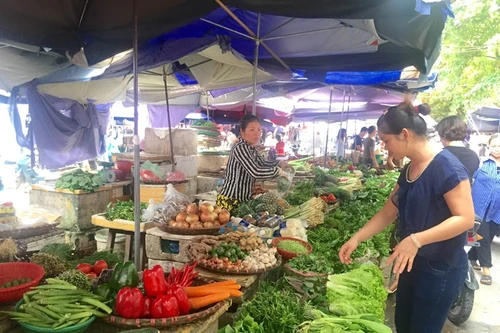 Giá rau xanh bao giờ “hạ nhiệt”? 