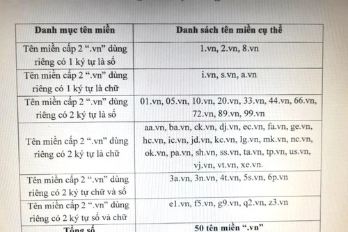 Sẽ đấu giá tên miền quốc gia “.vn”