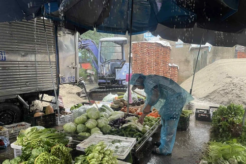 Hà Nội: Rau xanh tăng giá theo mưa bão