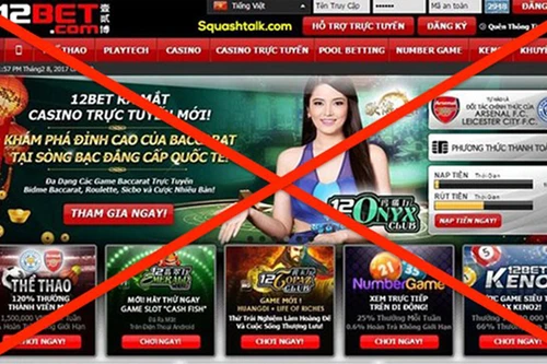 Thêm hơn 900 website vi phạm năm 2024, đề nghị không quảng cáo