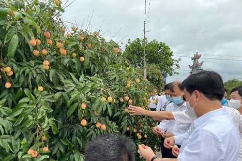 Nông sản, trái cây đưa về Hà Nội: Lái xe phải có kết quả xét nghiệm Covid-19 âm tính 