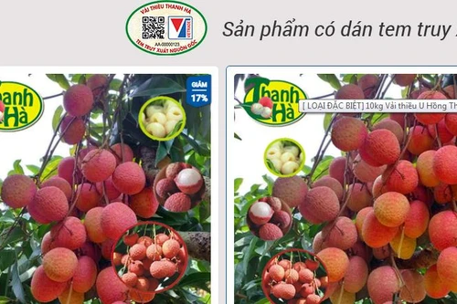 Đưa nông sản tươi “lên sàn”: Chất lượng tốt, mẫu mã phải đẹp