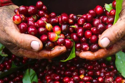 Xuất khẩu vượt chỉ tiêu tăng trưởng