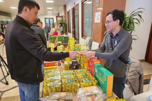 Mắm tôm, miến dong OCOP “xuất ngoại”