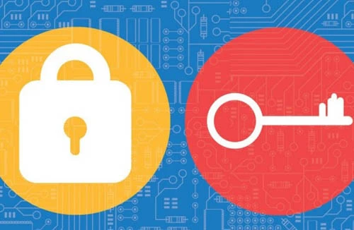 Không nên nhập email trên các trang kiểm tra tài khoản