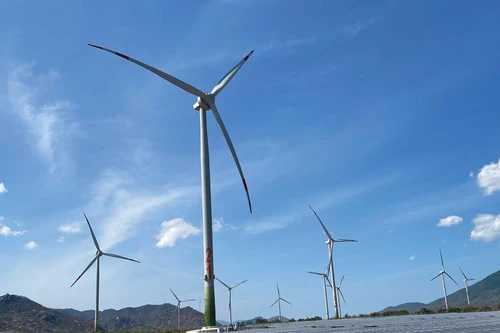 Thủ tướng phê duyệt Quy hoạch Điện VIII: Năng lượng tái tạo sẽ chiếm đến trên 71%