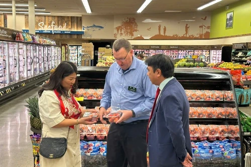 Quả vải Việt Nam lần đầu xuất hiện tại chuỗi bán lẻ lớn nhất nước Mỹ với thương hiệu Golden Lychees