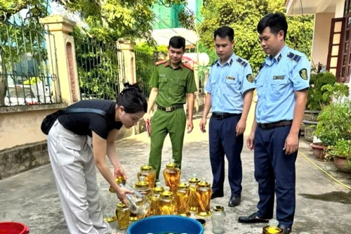 Thanh Hóa: Bán rượu sâm không rõ nguồn gốc, hộ kinh doanh ở Sầm Sơn bị xử phạt