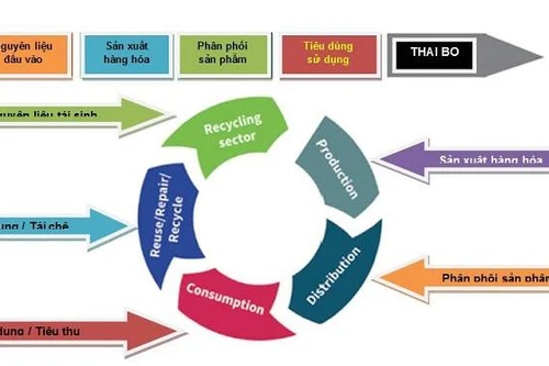 Đến năm 2030: 100% rác thải hữu cơ ở đô thị được tái chế
