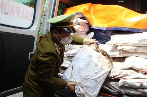 Xử lý nghiêm các trường hợp đầu cơ, "găm" hàng Tết