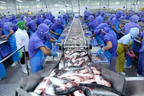 Thủy sản Việt Nam lần đầu lọt “top 5” tại thị trường Singapore