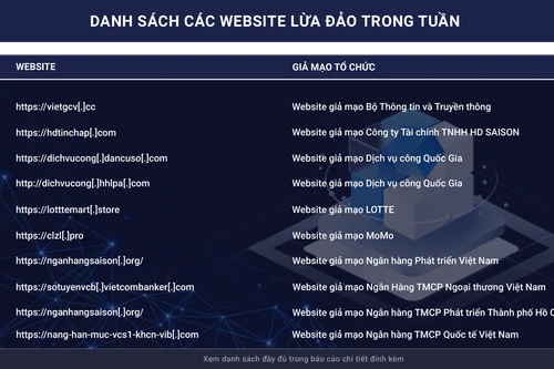 Nhiều website giả mạo ngân hàng, trang thương mại điện tử