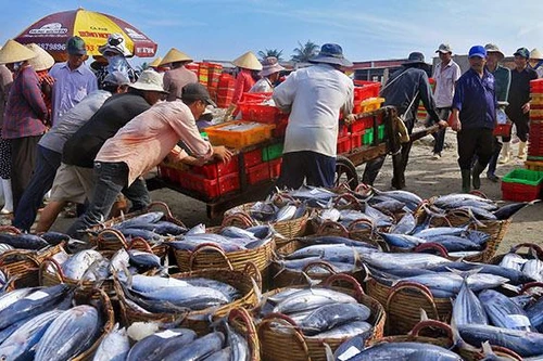 EU thay đổi mẫu Giấy chứng nhận kiểm dịch động vật dưới nước nhập khẩu
