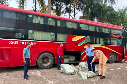 Phát hiện gần 500kg lòng lợn sấy ẩm mốc, chảy nước, bốc mùi hôi thối