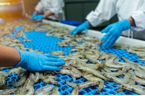 Kiến nghị bãi bỏ hạn ngạch đối với tôm Việt Nam nhập khẩu vào Hàn Quốc