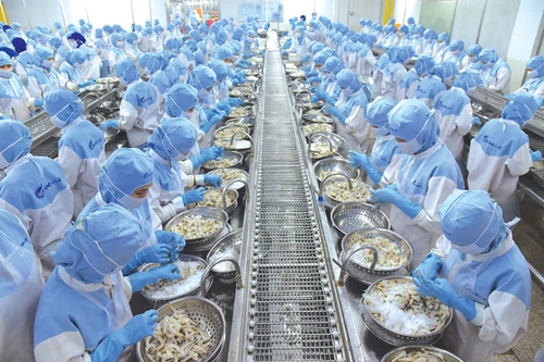 Bị thanh tra, kiểm tra chồng chéo, doanh nghiệp thủy sản kiến nghị cắt giảm