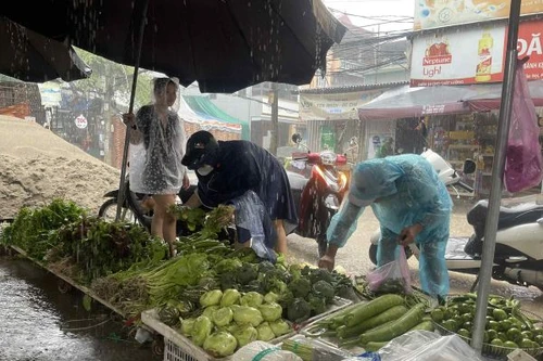 Rau xanh vẫn “đắt kinh khủng”