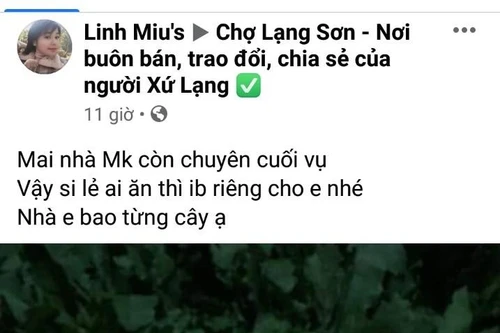 Bắt quả tang Facebooker rao bán cây "thuốc phiện" trên mạng xã hội