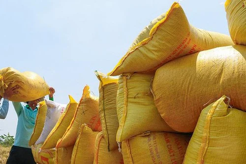 Việt Nam sẽ đứng thứ ba thứ giới về xuất khẩu gạo?