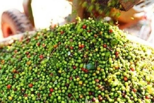 Container hàng xuất khẩu nghi bị “rút ruột”: Chưa đủ cơ sở để khẳng định?