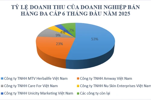 Doanh thu kinh doanh đa cấp giảm mạnh, nhiều vi phạm chuyển sang cơ quan Công an 