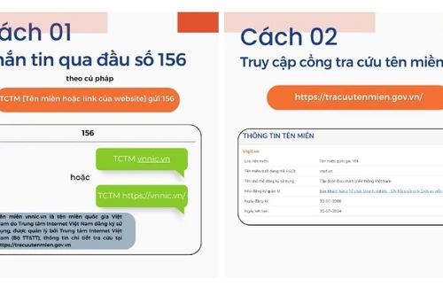 Tra cứu tên miền giả mạo bằng cách nào?