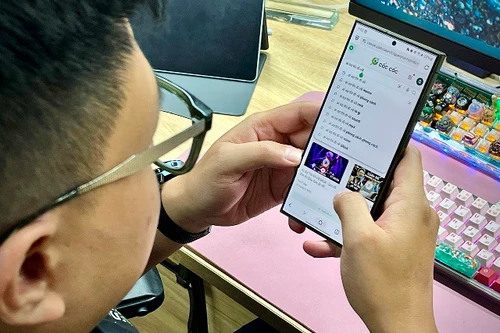 Người dùng Việt truy cập bao nhiêu trang web mỗi năm?