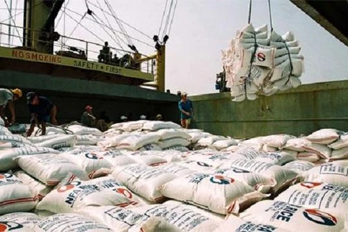 Giá gạo Việt Nam xuất khẩu cao nhất trong hơn 3 tháng