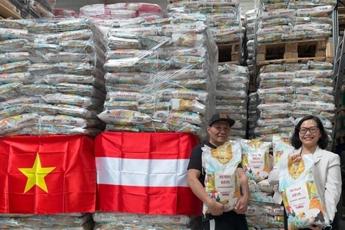 Gạo Việt nhiều cơ hội vào thị trường Áo