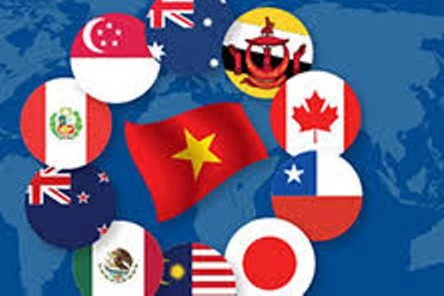 Việt Nam đang tham gia những Hiệp định thương mại tự do nào?