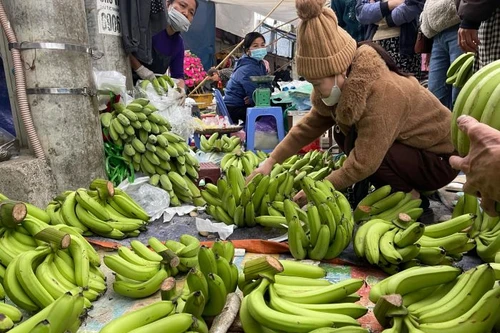 Thị trường ngày 24 Tết Ất Tỵ: Chuối xanh đắt đỏ