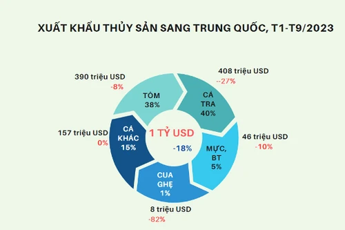 Thị trường Trung Quốc "rộng cửa" với thủy sản Việt Nam