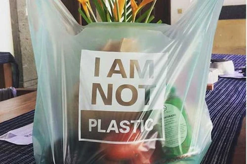 Hà Nội: Hướng tới 100% chợ truyền thống không sử dụng túi nilon khó phân hủy