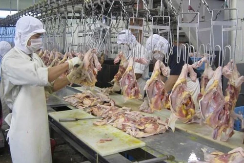 Giá thực phẩm, rau xanh nhanh chóng về mức trước Tết, bát bún vẫn 75.000 đồng