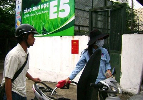 Đưa xăng sinh học vào sử dụng đúng lộ trình